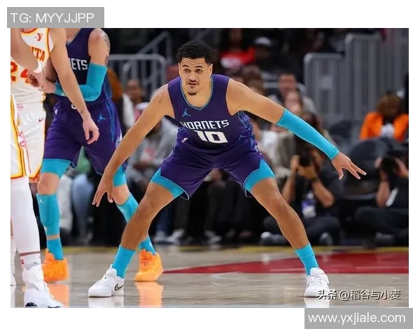 黄蜂球队新帅上任，球迷期待新赛季表现